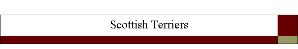 Scottish Terriers