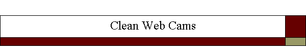Clean Web Cams